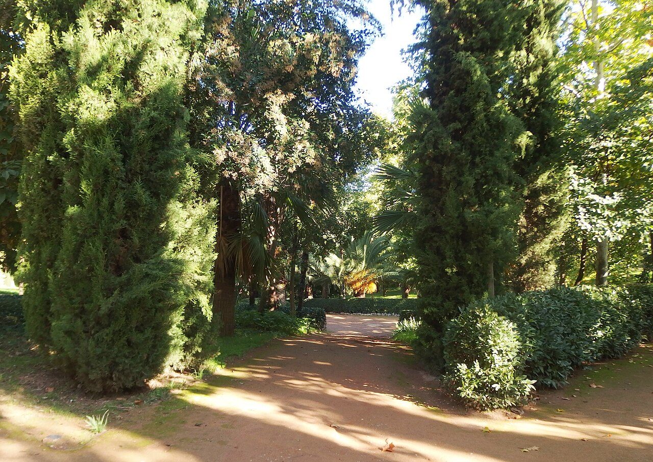 Camino entre cipreses en el Carmen de los Mártires